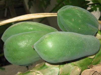 吃瓜能润肠,润肠通便的天然良方