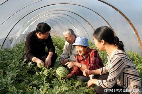 新疆吃瓜奶奶,揭秘“吃瓜奶奶”的独特魅力