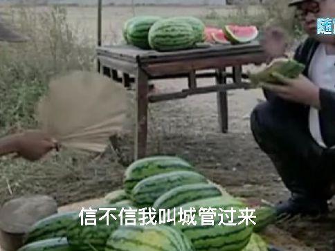 老爹吃小瓜,温馨回忆与味蕾之旅