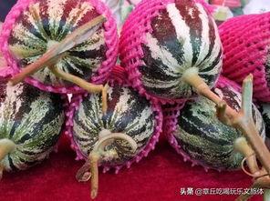 吃瓜群众的舞蹈