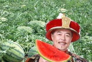 乾隆吃瓜回宫路上,回宫路上的意外邂逅